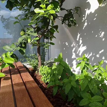 House Filipovic Apartmán Makarská