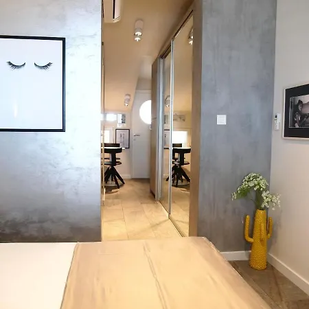 House Filipovic 아파트
