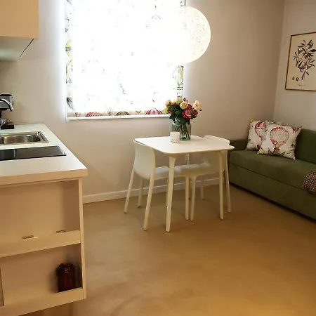 House Filipovic 아파트 *